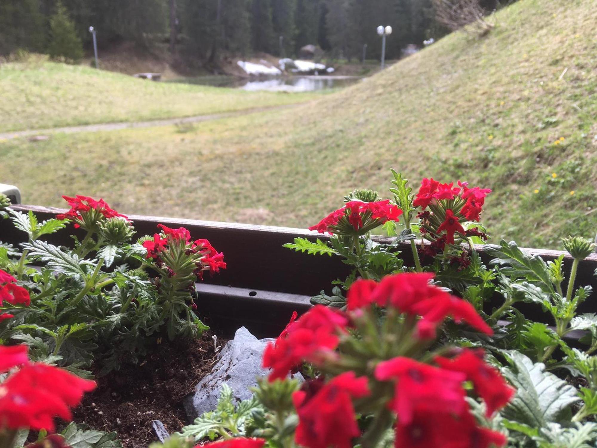 Apartmán Rothornblick Arosa Exteriér fotografie