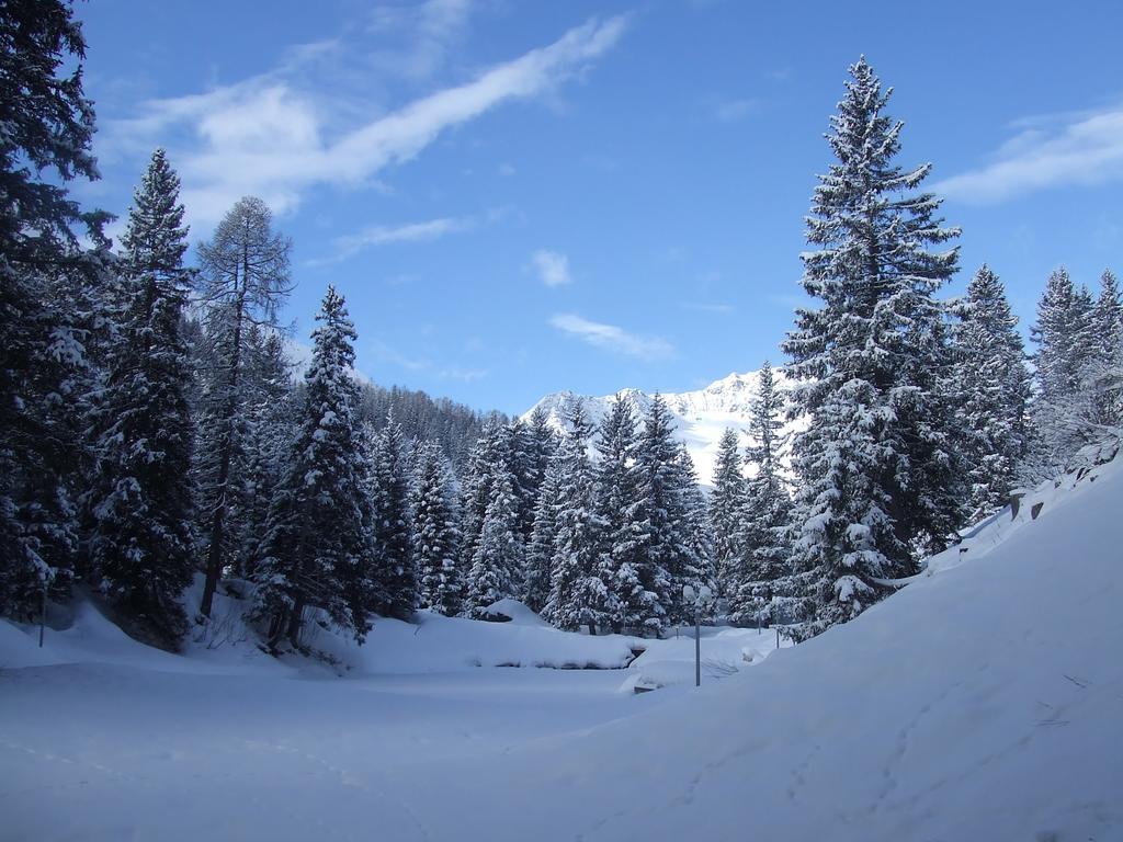 Apartmán Rothornblick Arosa Exteriér fotografie